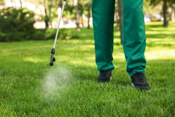 Wasp Removal Services in Myrtle Creek, OR